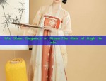 Change:The Dream of Hanfu,a Journey Through Time