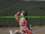 The Evolution of Hanfu Fashion:The Role of the Underwear Vest in Traditional Chinese Attire