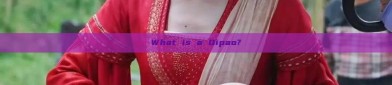 What is a Qipao?