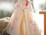 Hanfu Dreams:Journey Back to the Splendor of the Tang Dynasty