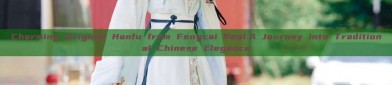 Charming Original Hanfu from Fengcai Pool:A Journey into Traditional Chinese Elegance