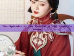 The Enchantment of Traditional Chinese Costume in Childrens Imagination