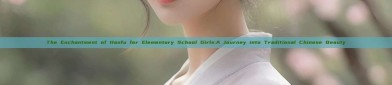The Enchantment of Hanfu for Elementary School Girls:A Journey into Traditional Chinese Beauty