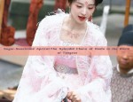 Reinventing the Classic:Womens Cheongsam Dress with Modern Twist