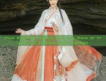 Plum Ripeness Ushers in a New Wave of Traditional Chinese Hanfu Fashion
