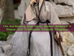 The Enchanting Red Hanfu Blouse Woman:A Glimpse into Traditional Chinese Elegance