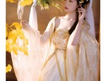 The Splendor of the Ru Yi Jin Cheongsam:A Traditional Beauty in Modern Context
