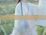 The Splendor of Ming-Style Hanfu:Womens Horseface Skirt Ensemble