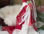The Splendor of Tang Dynasty:The Story of a Female Forensic Doctors Hanfu Fashion