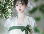 The Magnificent Cheongsam:A Tale of Triumphant Flags