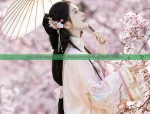 Dust-proof Bags and the Revival of Traditional Hanfu Fashion