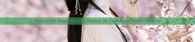 Dust-proof Bags and the Revival of Traditional Hanfu Fashion