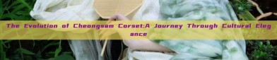 The Evolution of Cheongsam Corset:A Journey Through Cultural Elegance