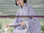 Chinese Traditional Costume for Women:Winter Adult Ancient Style Clothes
