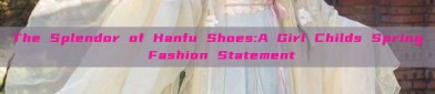 The Splendor of Hanfu Shoes:A Girl Childs Spring Fashion Statement