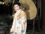 Plus-Size Fig-Flattering Cheongsam Skirts:Embracing Your Curves in Style