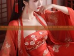 Ancient Style Black Hanfu Dress for Girls:A Glimpse into Traditional Elegance