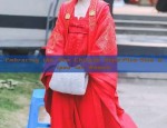 The Peach Blossom Chronicle:A Journey into the World of Hanfu Fashion