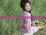 The Enchanting World of Lotus-Inspired Hanfu for Little Girls