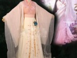 Winter Style of Long-Style Cape-like Hanfu for Women A Blend of Tradition and Modernity