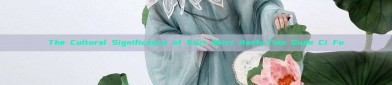 The Cultural Significance of Kozi Skirt Hanfu:Tian Guan Ci Fu
