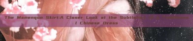 The Mamenqun Skirt:A Closer Look at the Subtleties of a Traditional Chinese Dress