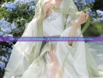 Modernizing Traditional Hanfu:Womens Summer Hanfu Fashion Evolution