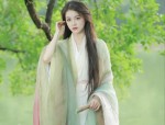 The Revival of Hanfu Culture:Focusing on the Charm of Broken Sleeves in Traditional Chinese Fashion