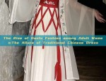 The Rise of Hanfu Fashion among Adult Women:The Allure of Traditional Chinese Dress