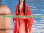 The Splendor of Hanfu:A Girls Tang-Style Traditional Chinese Attire