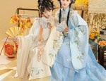 The Elegance of Ancient Hanfu Costume:A Girl Child in Ming-Style Hanfu