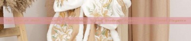 The Rise of Hanfu Princess Gowns:Middle School Students Embracing Traditional Elegance