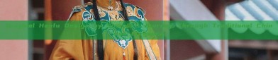 Original Hanfu Design by Sinan阁:A Journey Through Traditional Chinese Elegance