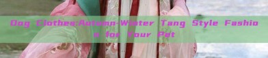 Dog Clothes:Autumn-Winter Tang Style Fashion for Your Pet