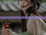 Vintage Style of Qipao-Matched Shoes:A Journey Through Retro Elegance