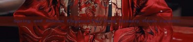 Spring and Autumn Elegance:The Song Dynasty Hanfu Fashion