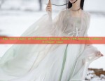 The Inner Layer of Traditional Chinese Hanfu with Standing Collars:A Closer Look