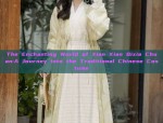 The Revival of Hanfu Fashion:Exploring the Cultural Significance of漫春雪汉服