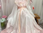 Elegance Revived:The Goddess-like Hanfu Fashion