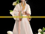 Dragon and Phoenix:The Unique Story of a Twin Set in Traditional Hanfu Fashion