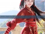 Winter Hanfu:The Splendor of Heavy-Work Embroidery in Jin-Jin Dynasty Hooded Robes