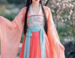 The Enchanting Journey of a Young Girl in a Hanfu Fairy Tale