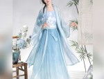 The Dominating Presence of a Traditional Hanfu Student in Ancient Attire