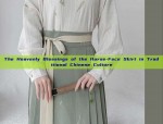 The Heavenly Blessings of the Horse-Face Skirt in Traditional Chinese Culture