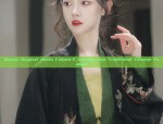 Qixuan Original Hanfu Custom:A Journey into Traditional Chinese Fashion