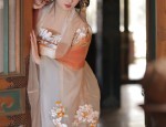 Low-Collar Cheongsam for Autumn Winter:Fashion and Comfort in Harmony
