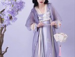 Winter Ming-Style Hanfu Collared Jacket:A Traditional Elegance