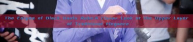 The Enigma of Black Hanfu Robe:A Closer Look at the Upper Layer of Traditional Elegance