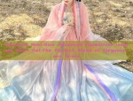 Reinventing Traditional Chinese Fashion:The Modern Hanfu Style for Women