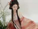 Traditional Chinese Tang-Style Womens Blouse for Summer